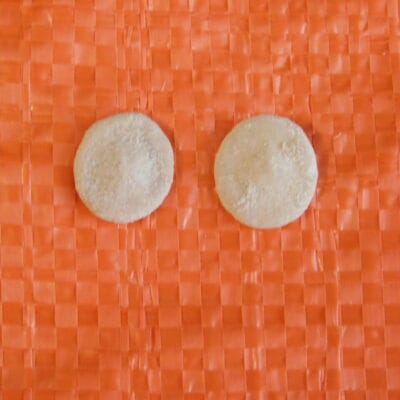 2 small Fossil Sand Dollars Calcified