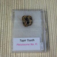 DSCN8280