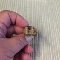 DSCN8285