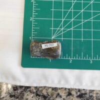 2024-02-21 22.49.08 2024-02-21 22.49.08