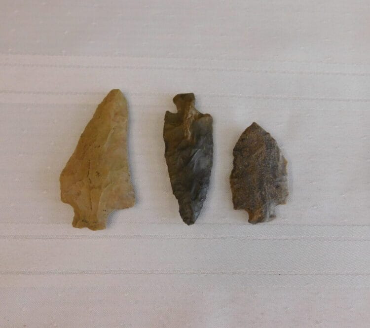 Group of 3 Arrowhead Artifacts | Fossils & Artifacts for Sale | Paleo Enterprises | Fossils & Artifacts for Sale