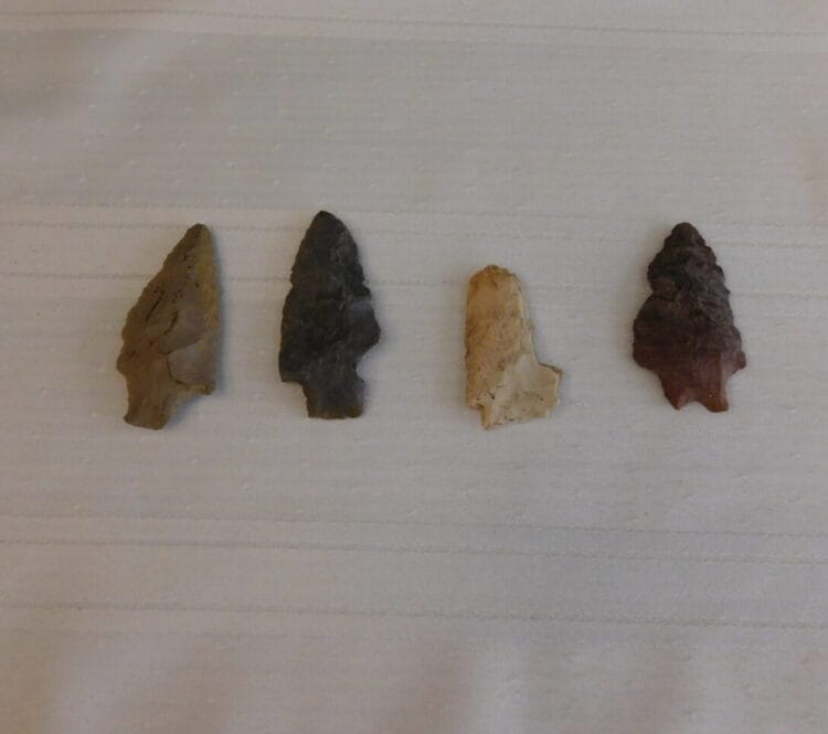 Group of 4 Arrowhead Artifacts | Fossils & Artifacts for Sale | Paleo Enterprises | Fossils & Artifacts for Sale