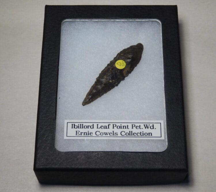 Authentic Ibillord Leaf Projectile Point-Petrified Wood- COA included