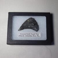 2026-10-06 22.00.09