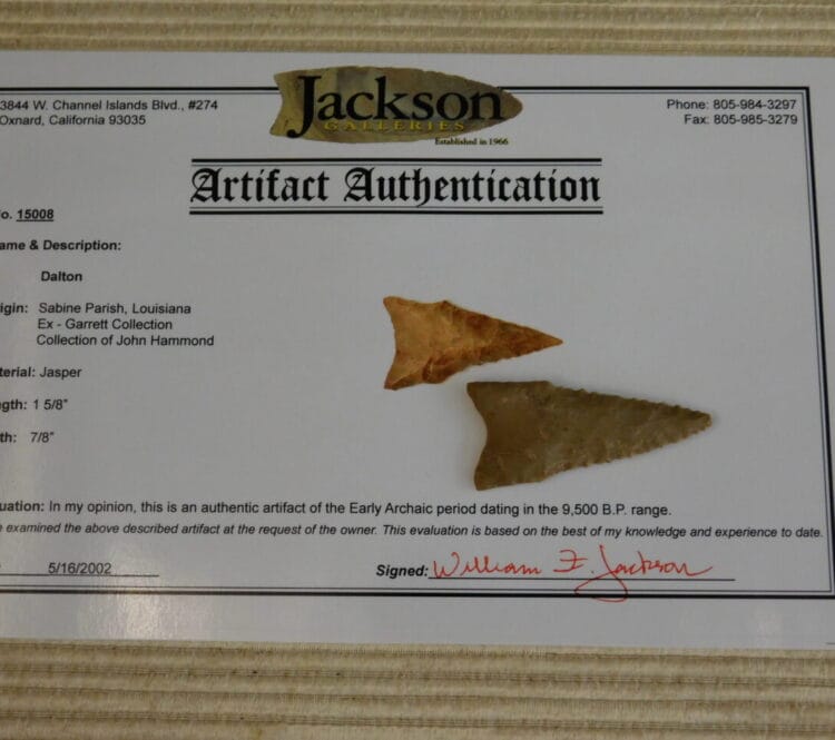 Authentic Dalton Point artifact COA