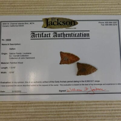 Authentic Dalton Point artifact COA