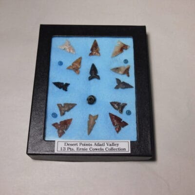Authentic Ernie Cowles Collection 13 Desert Points – COA