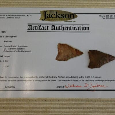 Authentic Pelican type Point – COA