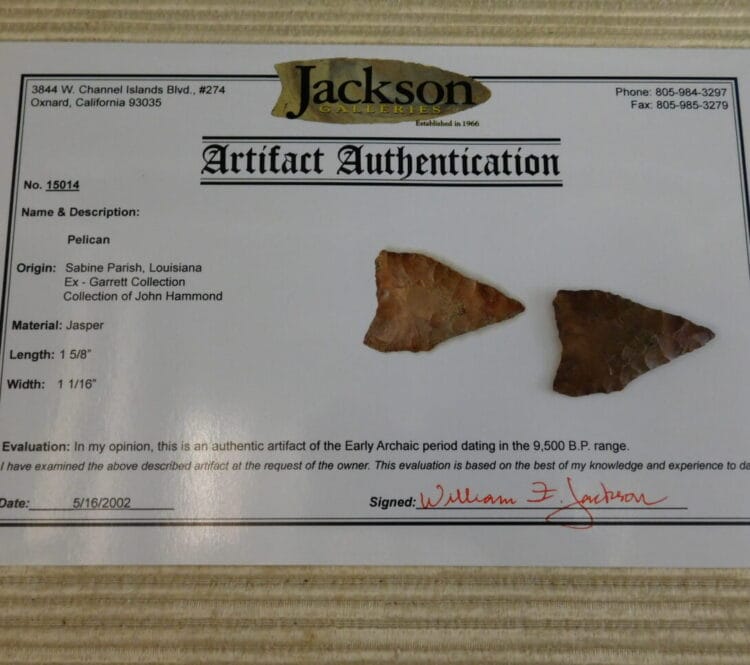 Authentic Pelican type Point - COA