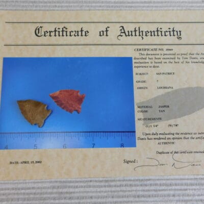 Authentic St Johns Variety San Patrice Point – COA