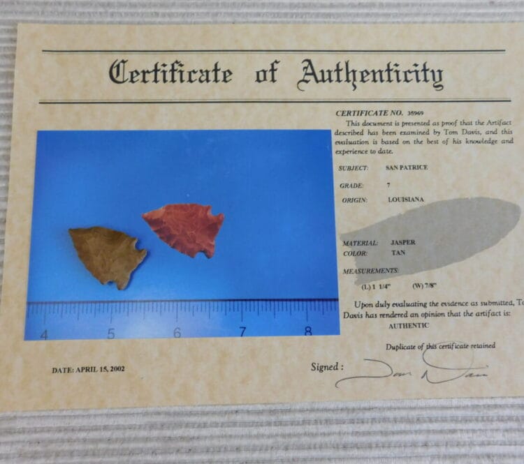 Authentic St Johns Variety San Patrice Point - COA