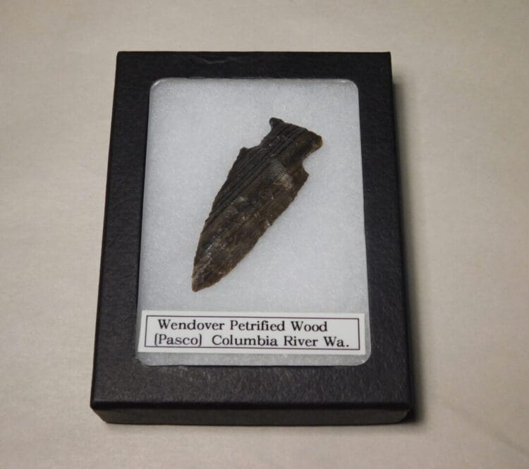 Authentic Wendover Projectile Point Columbia River, Pasco WA