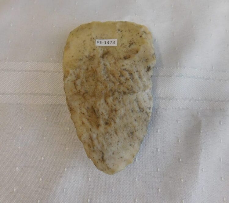 Authenticated Native American Fossil Coral Preform/Blade