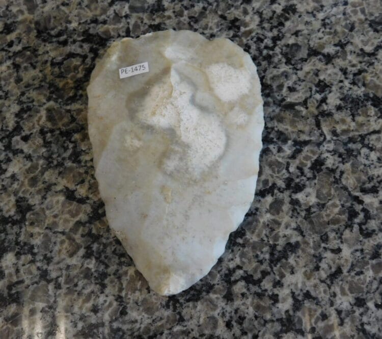 Authenticated Native American Fossil Coral Preform/Blade