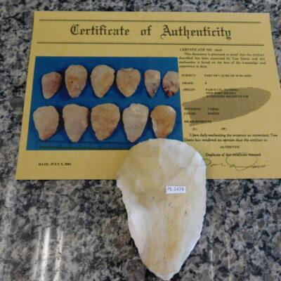 Authenticated Native American Fossil Coral Preform/Blade COA