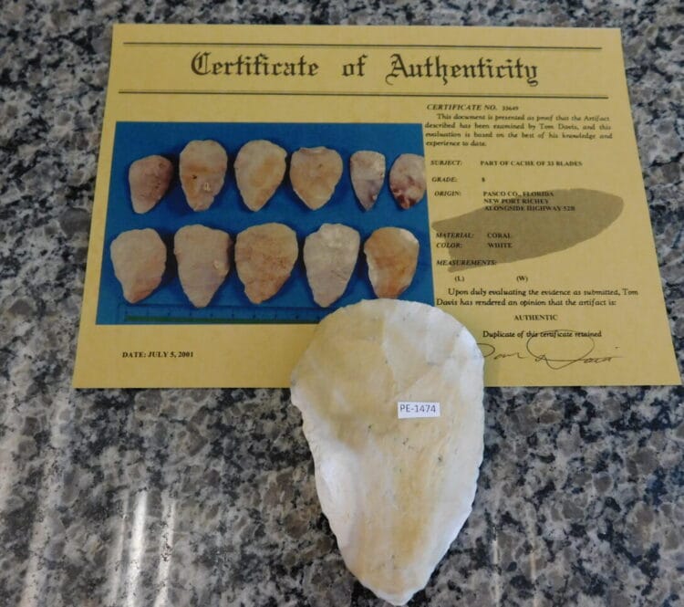 Authenticated Native American Fossil Coral Preform/Blade COA