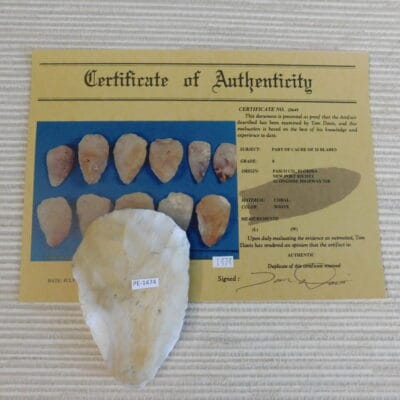 Authenticated Native American Fossil Coral Preform/Blade COA