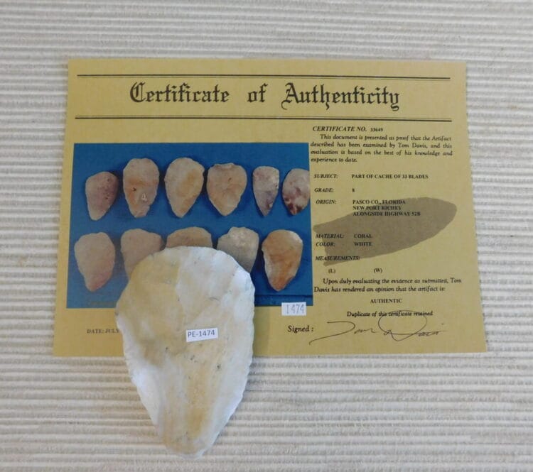 Authenticated Native American Fossil Coral Preform/Blade COA
