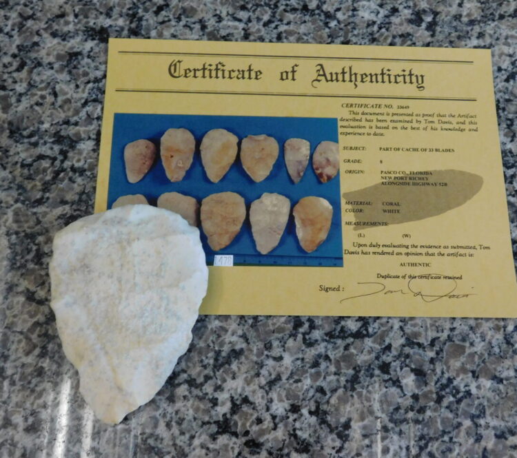 Authenticated Native American Fossil Coral Preform/Blade COA