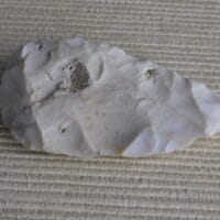 2026-06-15 12.32.37