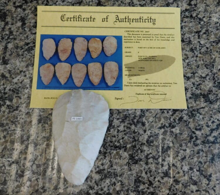 Authenticated Native American Blade - COA included