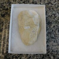 2026-07-07 11.29.10