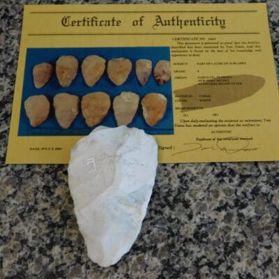 Authenticated Native American Fossil Coral Preform/Blade COA