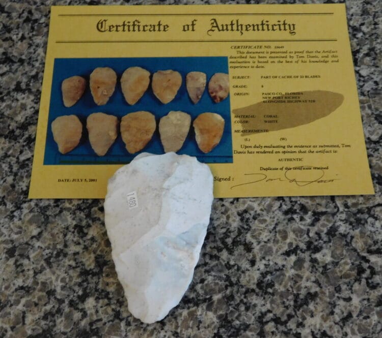 Authenticated Native American Fossil Coral Preform/Blade COA