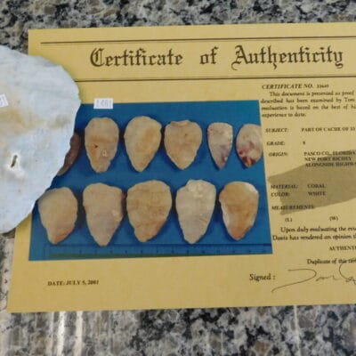 Authenticated Native American Fossil Coral Preform/Blade COA