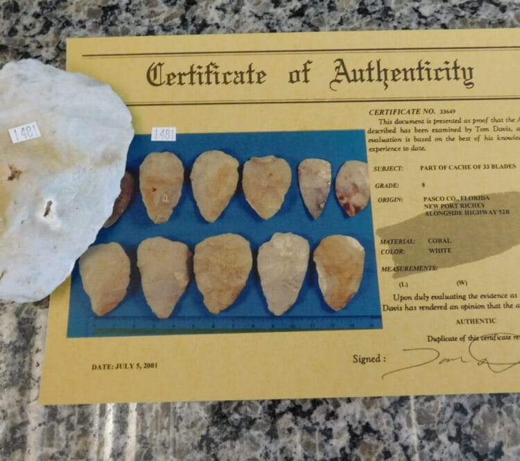 Authenticated Native American Fossil Coral Preform/Blade COA