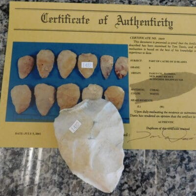 Authenticated Native American Fossil Coral Preform/Blade COA