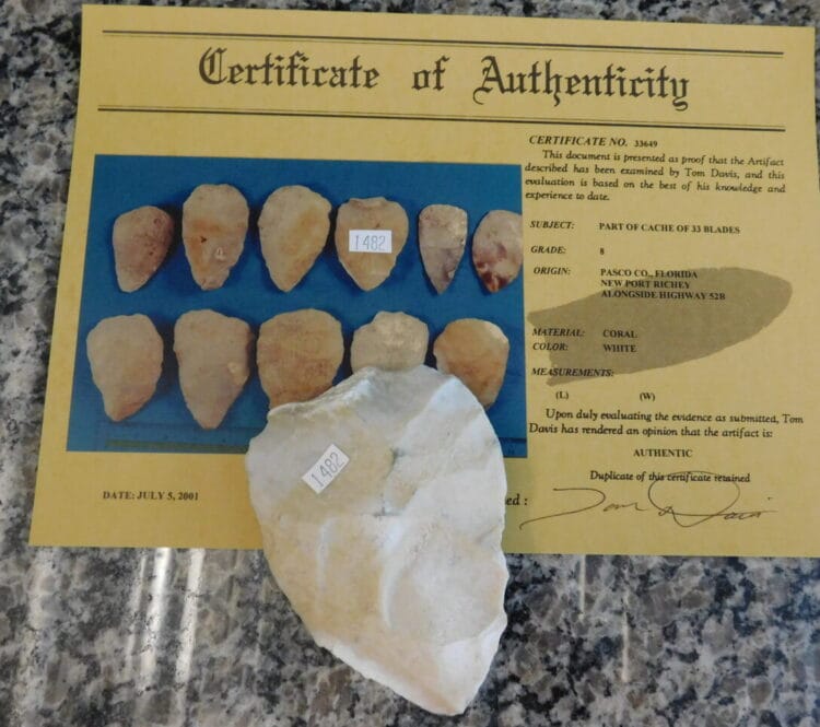 Authenticated Native American Fossil Coral Preform/Blade COA
