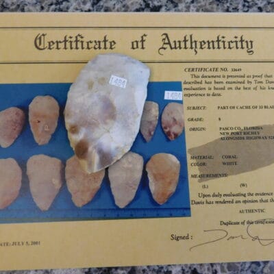 Authenticated Native American Fossil Coral Preform/Blade COA