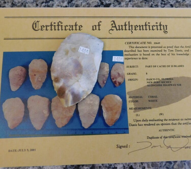 Authenticated Native American Fossil Coral Preform/Blade COA