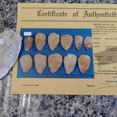 Authenticated Native American Fossil Coral Preform/Blade COA