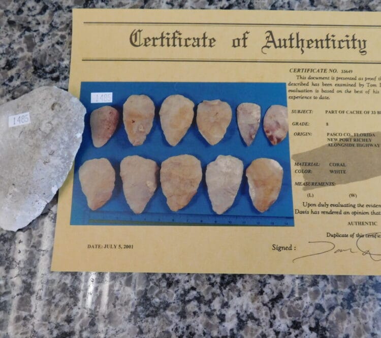 Authenticated Native American Fossil Coral Preform/Blade COA