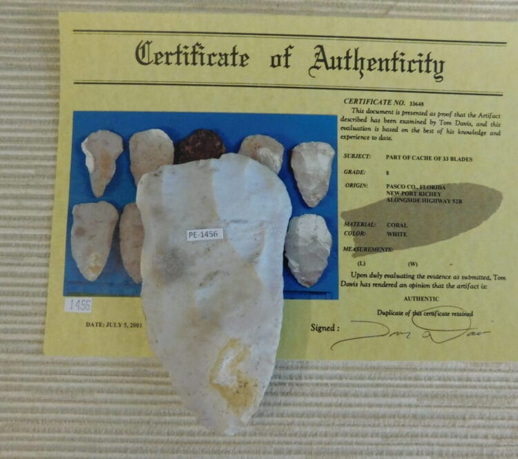 Authenticated Native American Fossil Coral Preform/Blade COA
