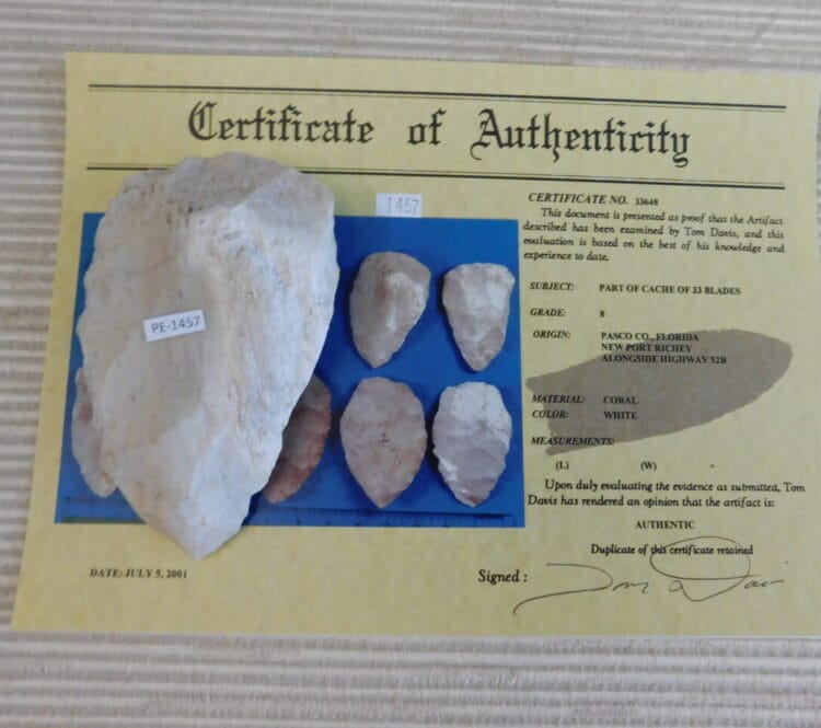 Authenticated Native American Fossil Coral Preform/Blade COA