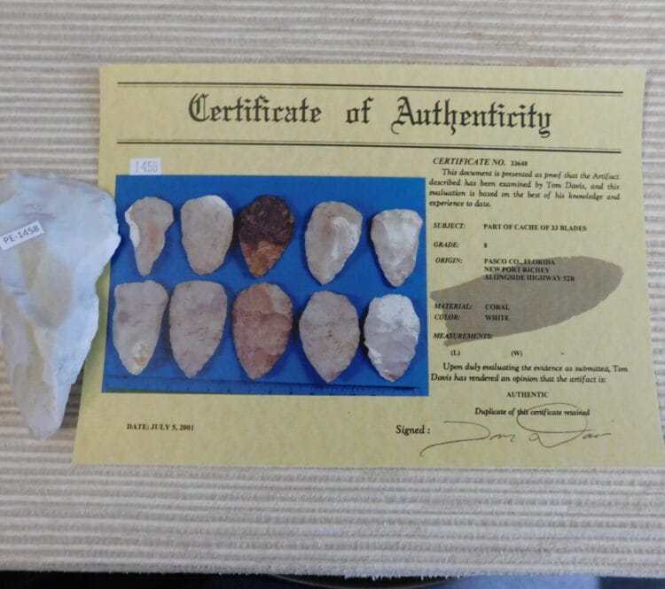 Authenticated Native American Fossil Coral Preform/Blade COA