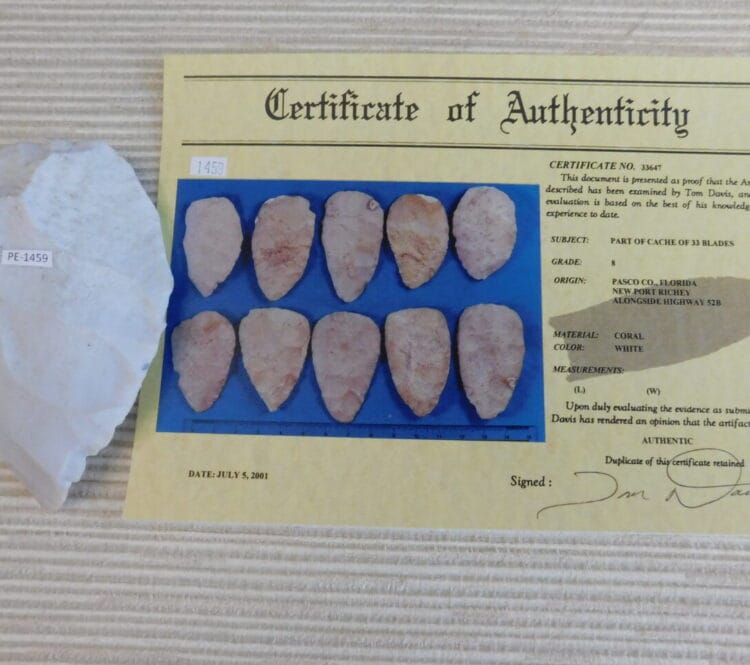 Authenticated Native American Fossil Coral Preform/Blade - COA