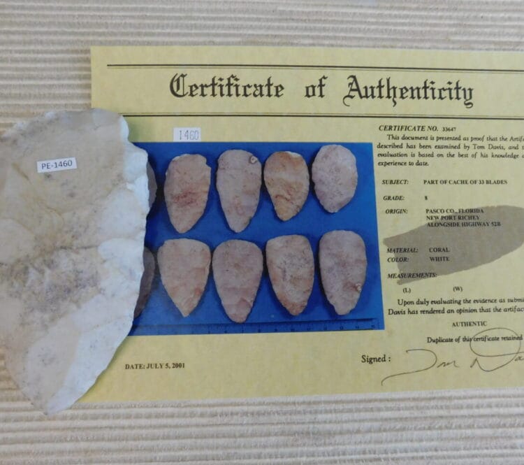 Authenticated Native American Fossil Coral Preform/Blade COA
