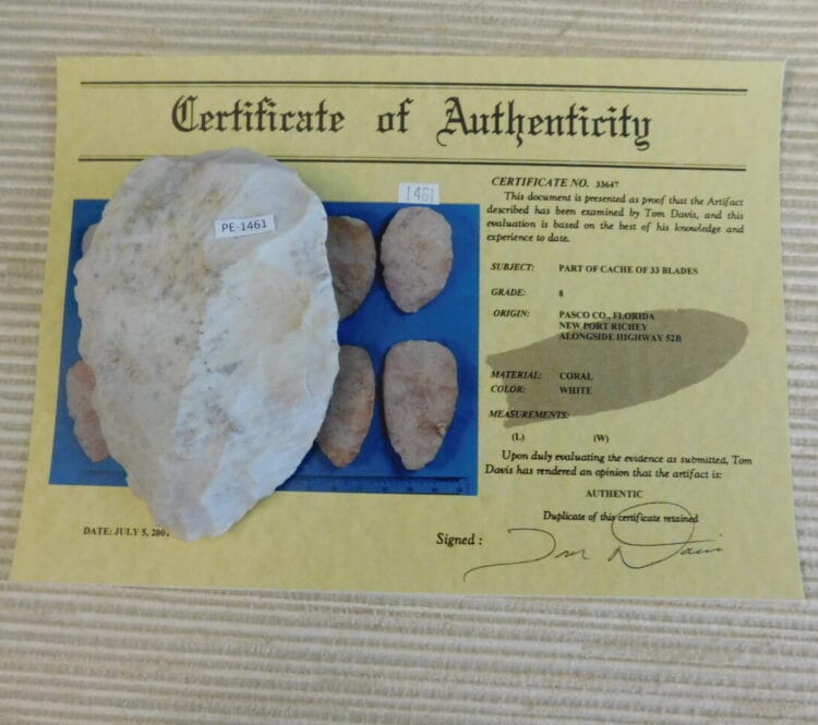 Authenticated Native American Fossil Coral Preform/Blade COA