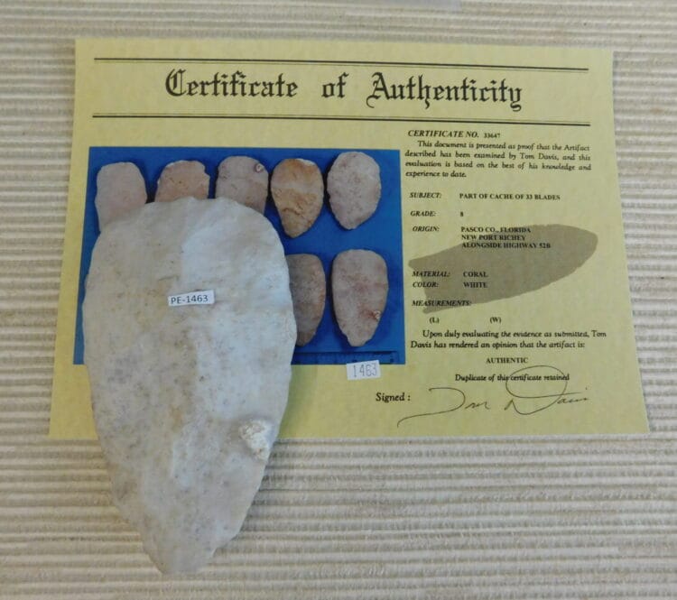Authenticated Native American Fossil Coral Preform/Blade COA
