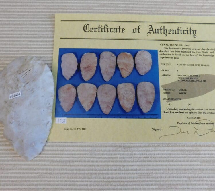 Authenticated Native American Fossil Coral Preform/Blade COA