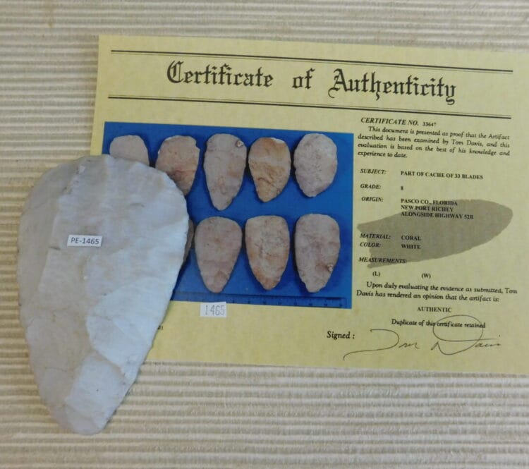 Authenticated Native American Fossil Coral Preform/Blade COA