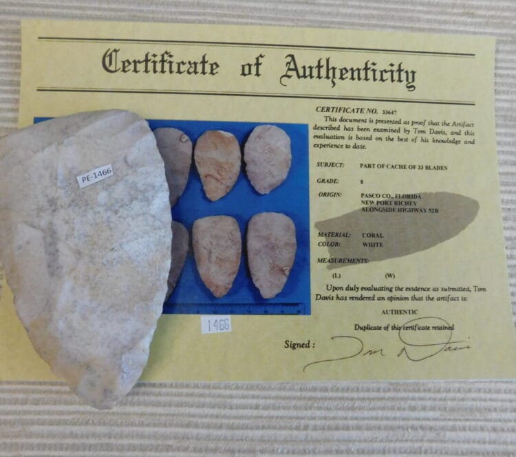 Authenticated Native American Fossil Coral Preform/Blade COA