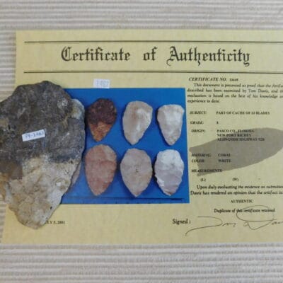 Authenticated Native American Fossil Coral Preform/Blade COA