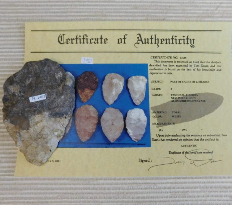 Authenticated Native American Fossil Coral Preform/Blade COA