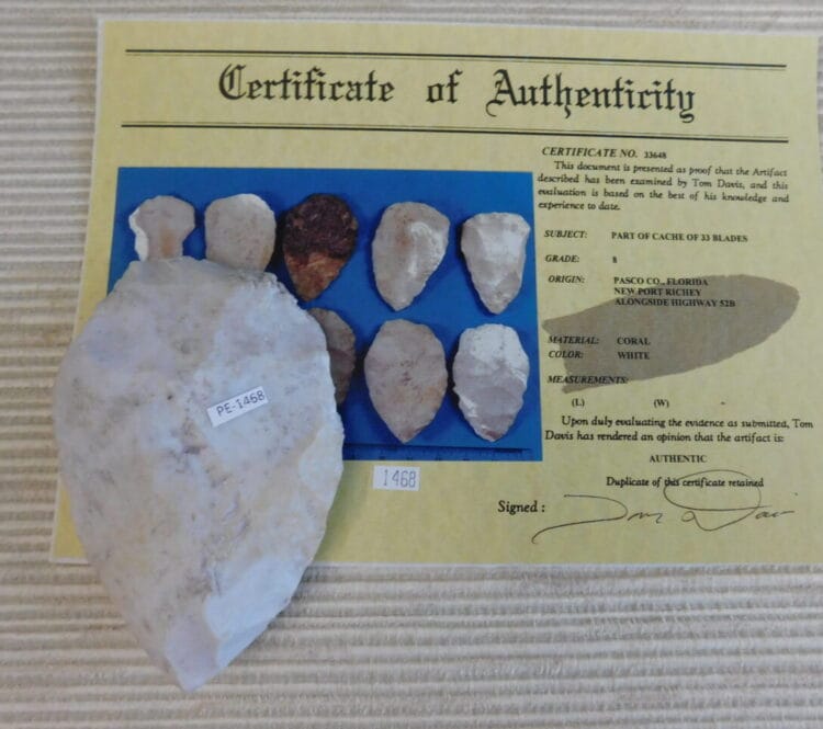 Authenticated Native American Fossil Coral Preform/Blade COA