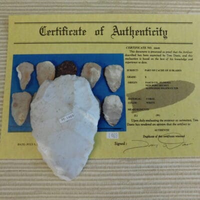 Authenticated Native American Fossil Coral Preform/Blade COA